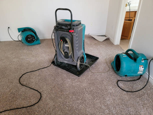 Best Basement water damage restoration  in Spring House, PA