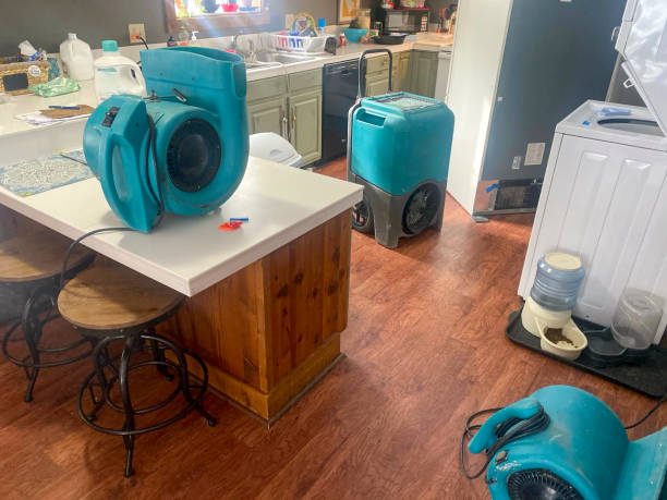 Best Mold removal after water damage  in Spring House, PA