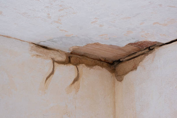 Best Water damage cleanup near me  in Spring House, PA