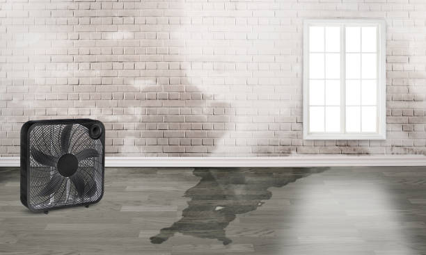 Best Ceiling water damage repair  in Spring House, PA