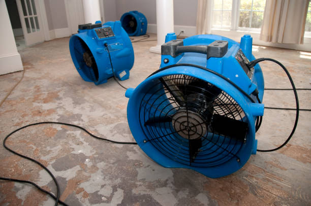 Best Water damage restoration near me  in Spring House, PA