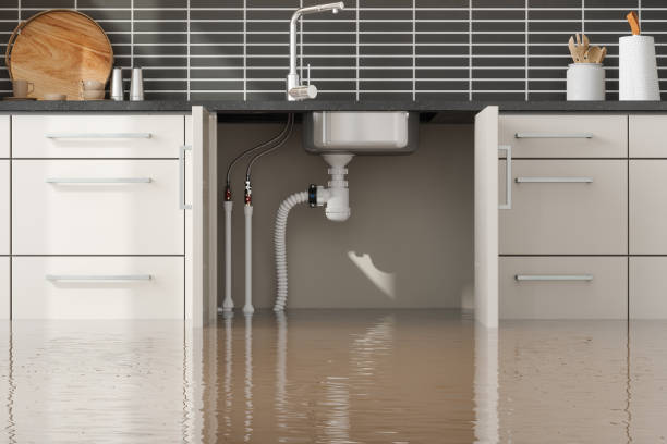 Best Carpet water damage restoration  in Spring House, PA