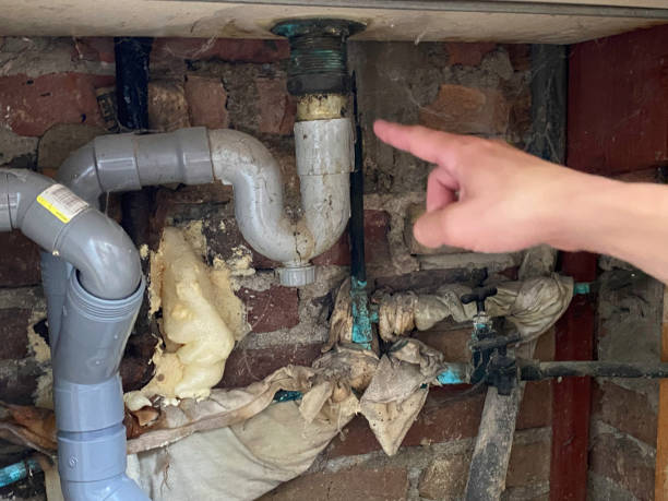 Best Flood damage cleanup  in Spring House, PA